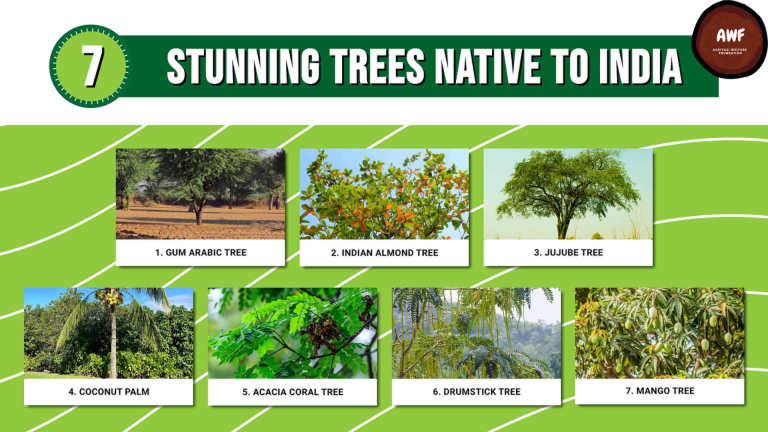 Native Species vs. Exotic Species: What Works?