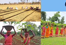 How CSR Drives Environmental Transformation