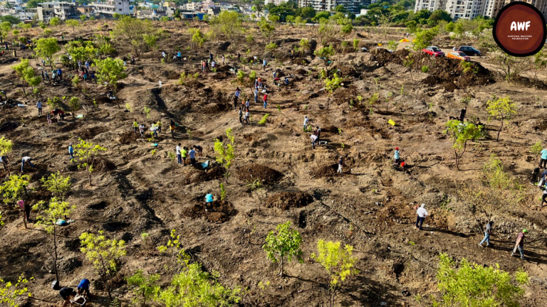 Sustainable Tree Planting for Companies: A Corporate Responsibility That Grows