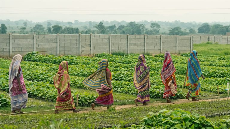 Restoring Balance: Tackling Wildlife Conflicts and Empowering Communities Through Conservation