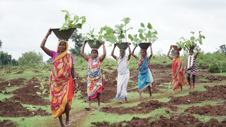 Preserving the Cultural Heritage of the Santhal Tribe in the Face of Urbanization