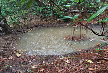 Plantation and Water Bodies