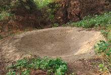 Plantation and Water Bodies