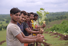 Plantation and Water Bodies