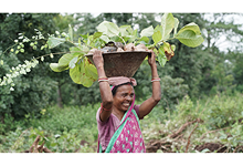 Empowering women in our tree plantation initiative