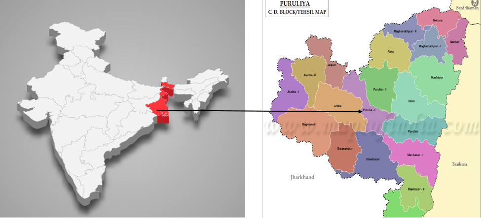 🌿 Forest Biodiversity and Ecological Research in Purulia — Research Summary Page